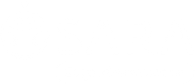 SARA Robotics